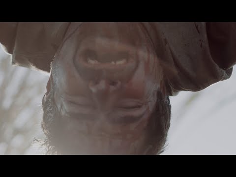 The Marshes - Official Trailer [HD] | A Shudder Original