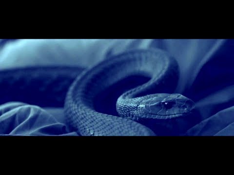 SERPENT (2017) Official Trailer (HD) KILLER SNAKE