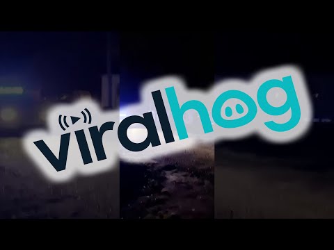 Police Play Purge Siren at Curfew || ViralHog