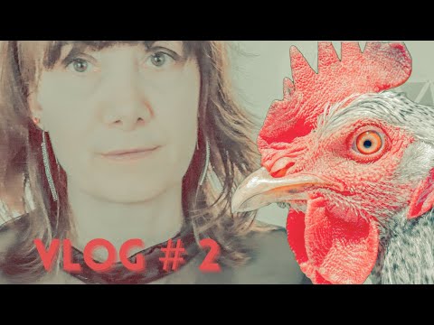 VLOG CINÉMA – Petite poule rousse | Le socio financement