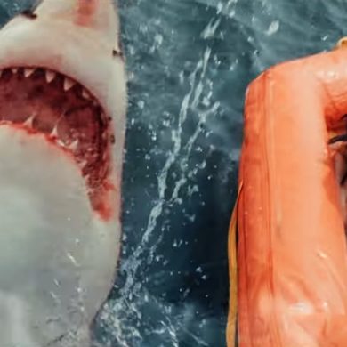 GREAT WHITE Official Trailer 1 37 screenshot