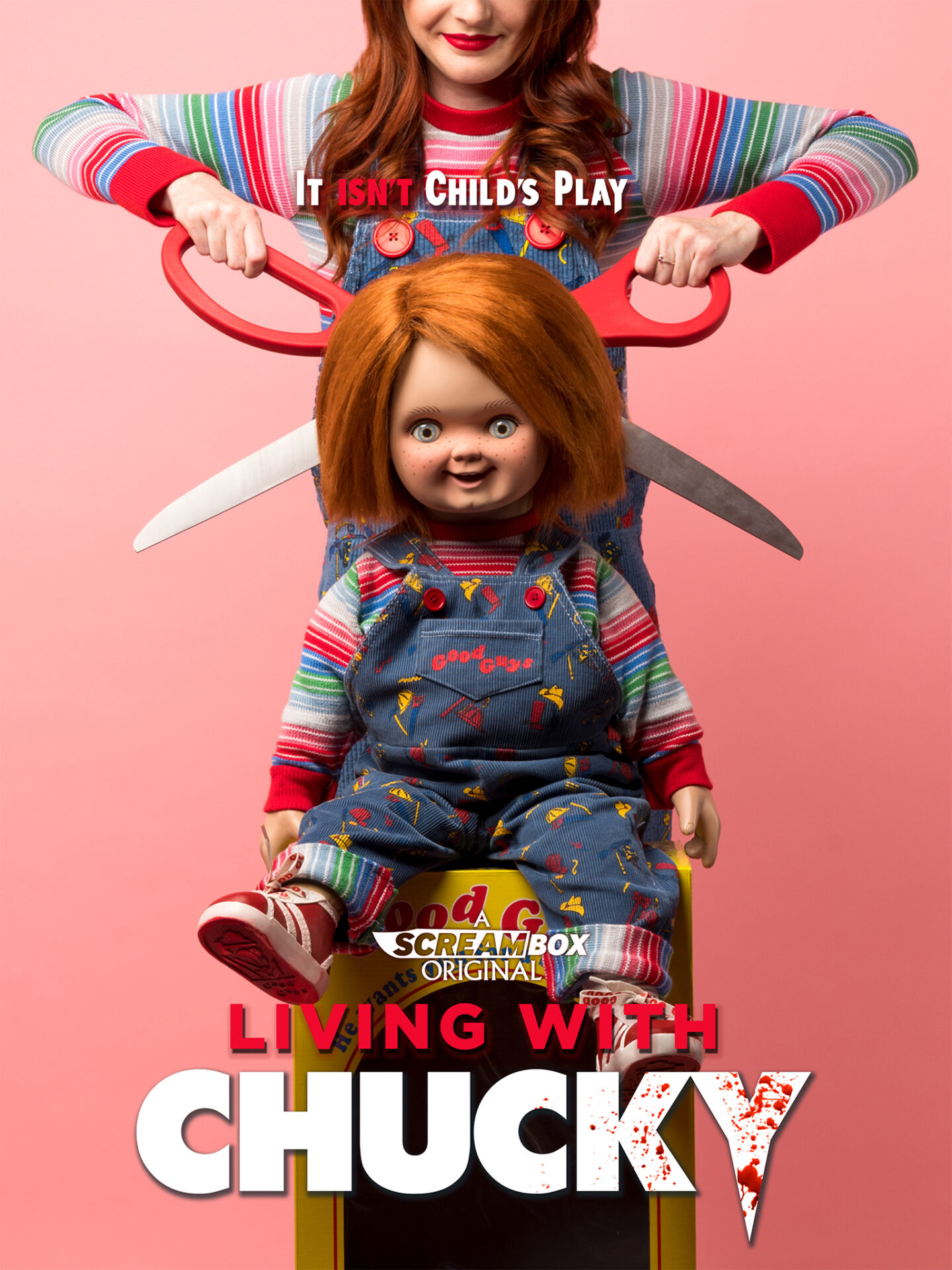 Living With Chucky affiche série